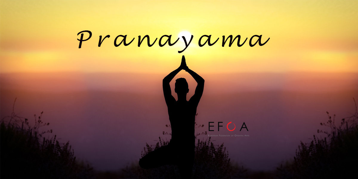 Le fondamenta di Pranayama